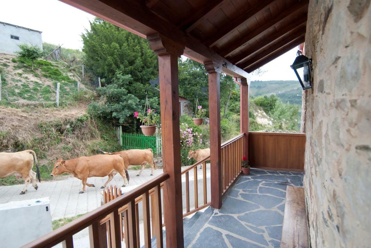 Apartamentos Rurales Tia Vicenta Santa Eulalia de Oscos Luaran gambar