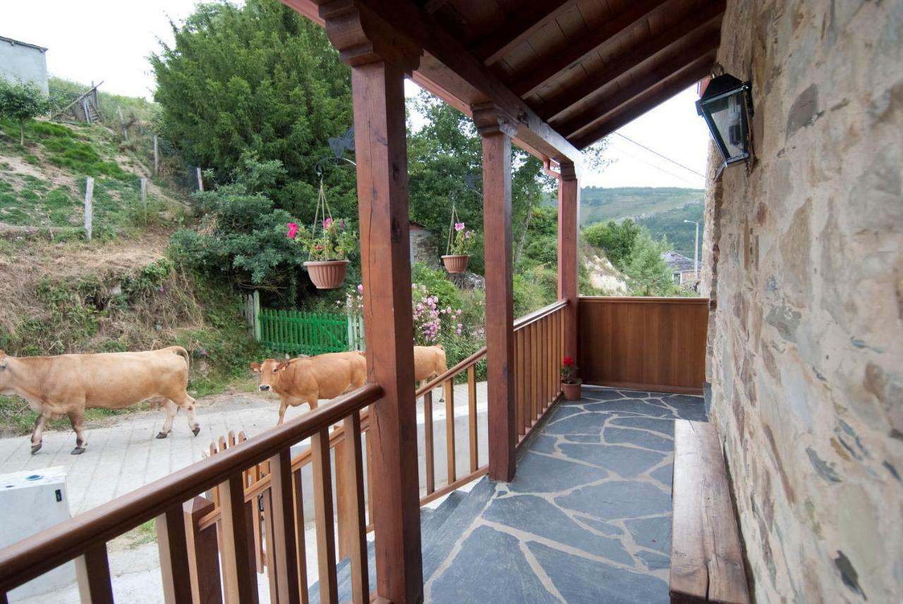 Apartamentos Rurales Tia Vicenta Santa Eulalia de Oscos Luaran gambar